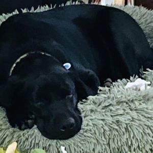 Meet your Posher, Terry